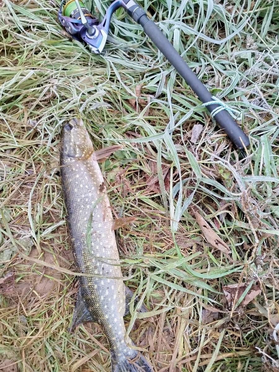 От ноля ушёл.