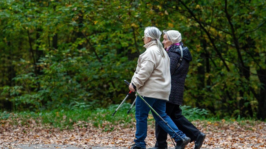    Фото: Globallookpress