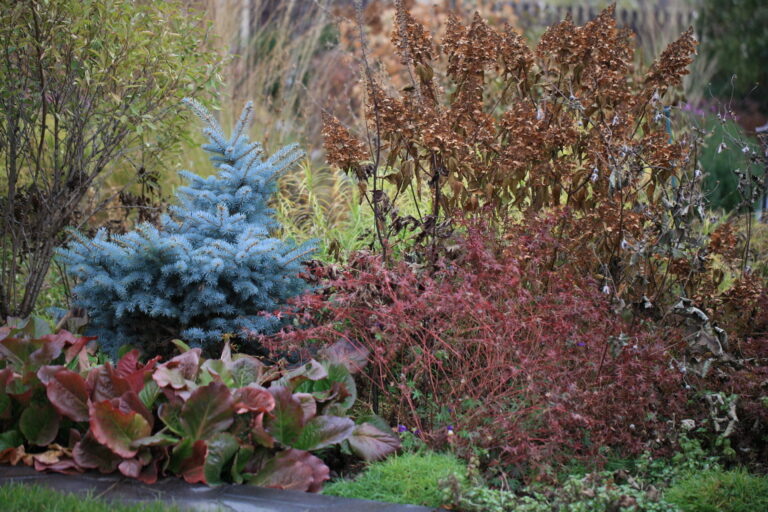 Фотографии из сада ландшафтного дизайнера Татьяны Койсман