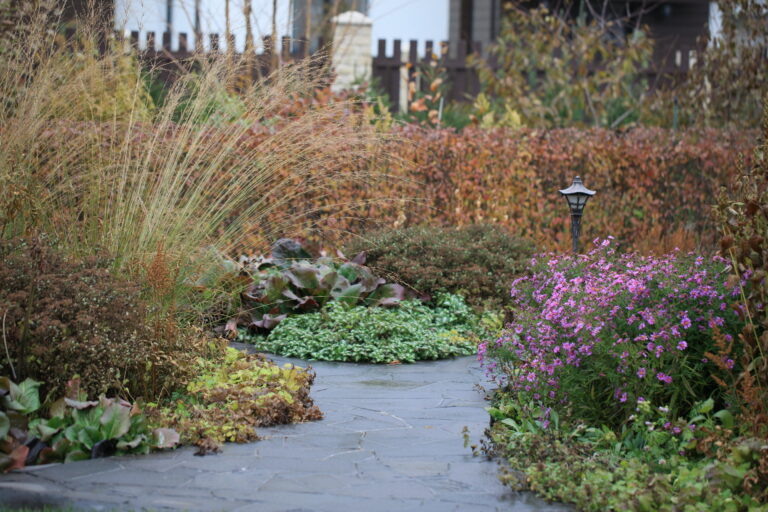 Фотографии из сада ландшафтного дизайнера Татьяны Койсман