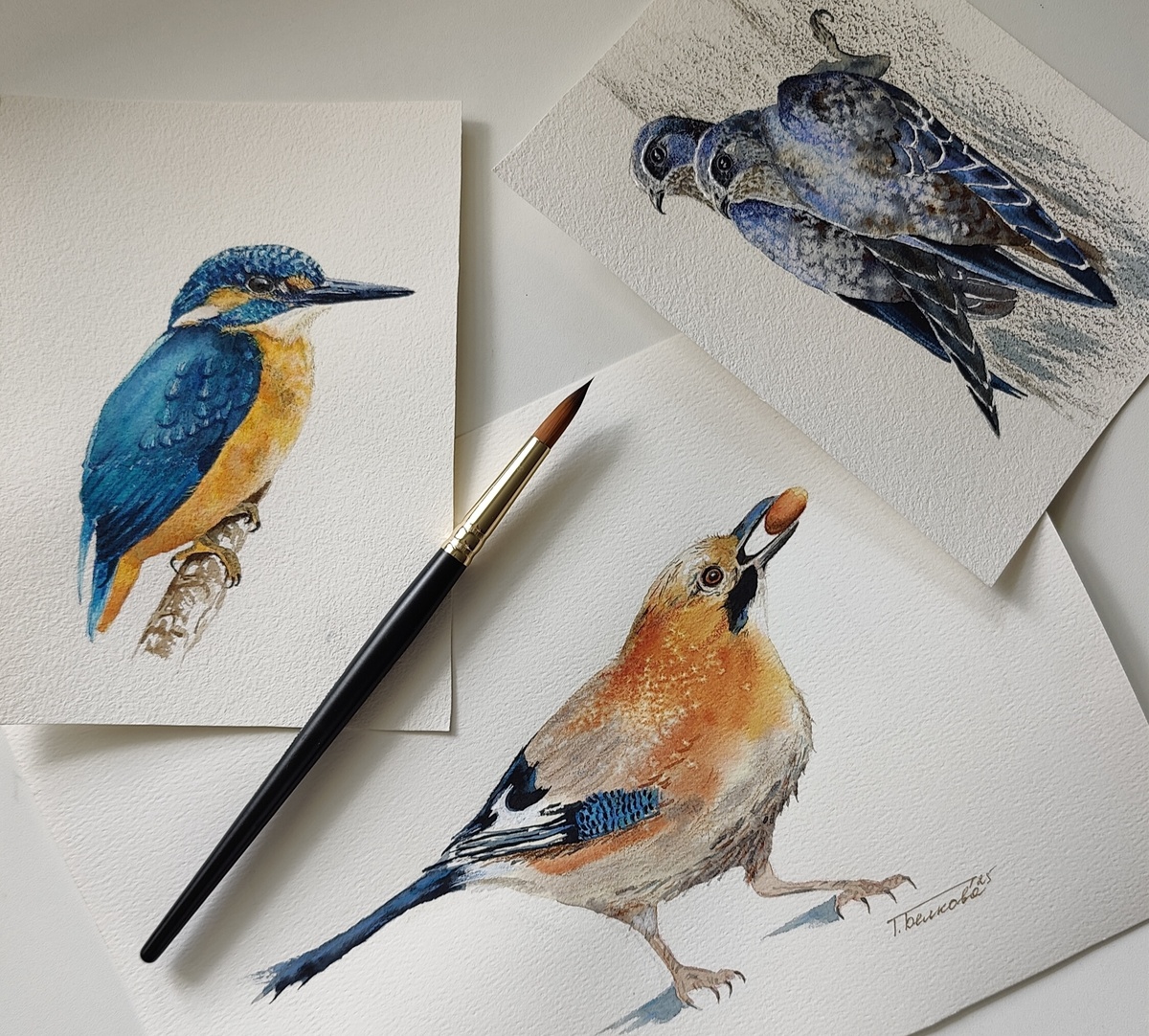 Художник Татьяна Белкова