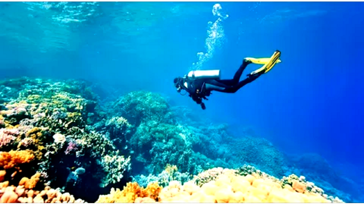 путь к Безмолвной Бездне