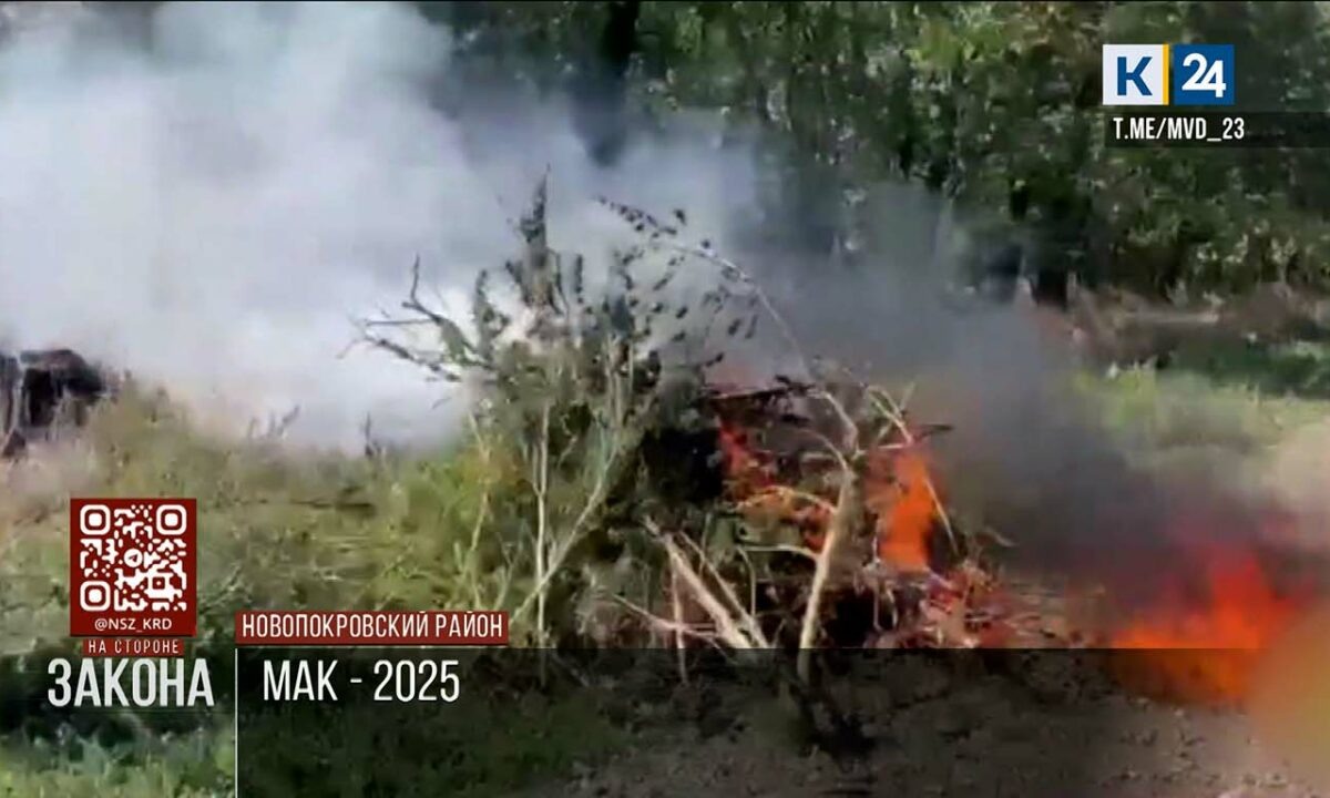    Фото t.me/mvd_23