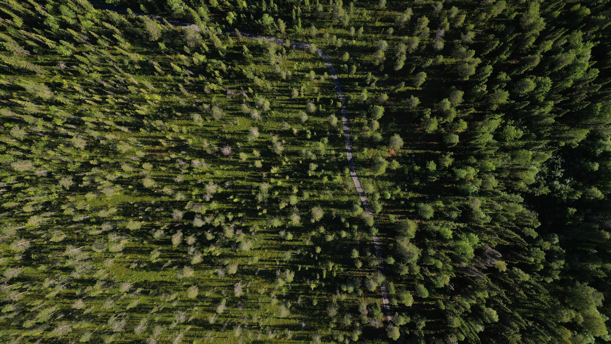 Тропа здоровья в Усинске