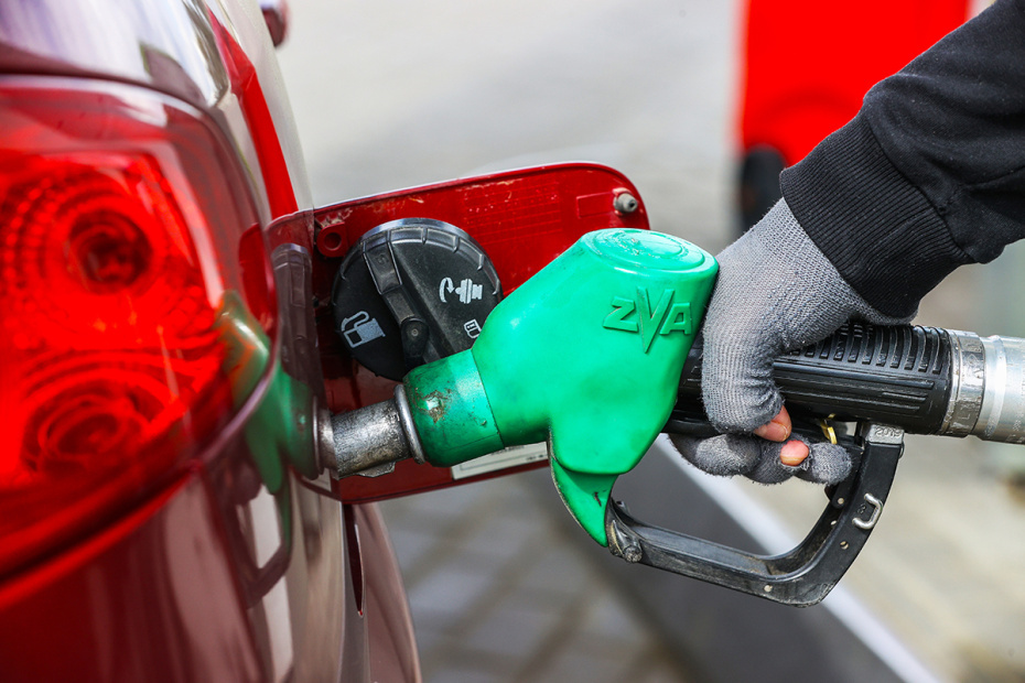    Наталья Шатохина/NEWS.ru