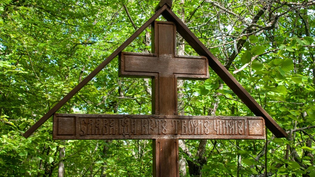    Фото: Svetlana Vozmilova/Globallookpress