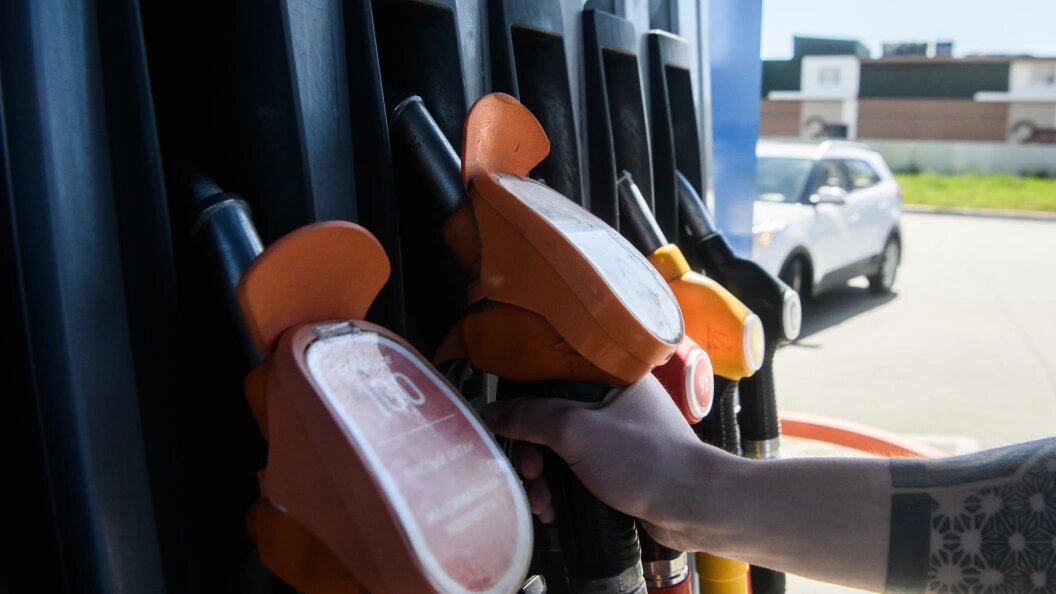    Фото: Ilya Moskovets/URA.RU/Globallookpress