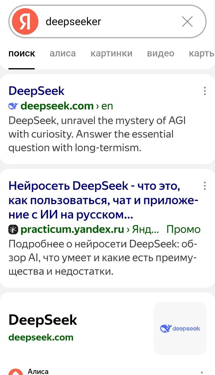 Вводим запрос в поисковик