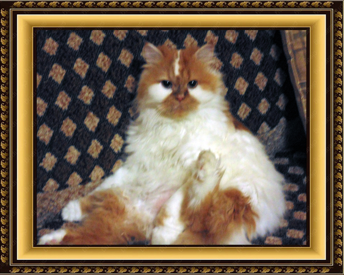 Фото из архива Ивановых и Рыжковых – КУЗЯ, 2013