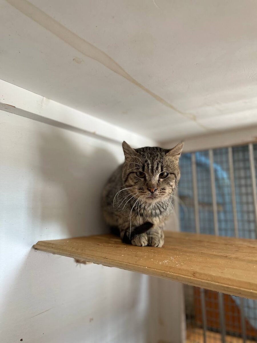 Сколько ж тебе лет и что ты пережил...