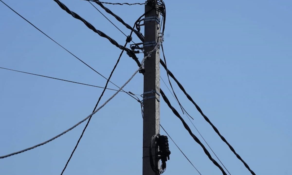    Фото Виктории Перевязко, «Кубань 24»