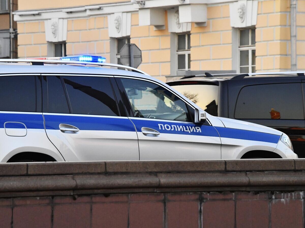    Автомобиль полиции© РИА Новости / Наталья Селиверстова