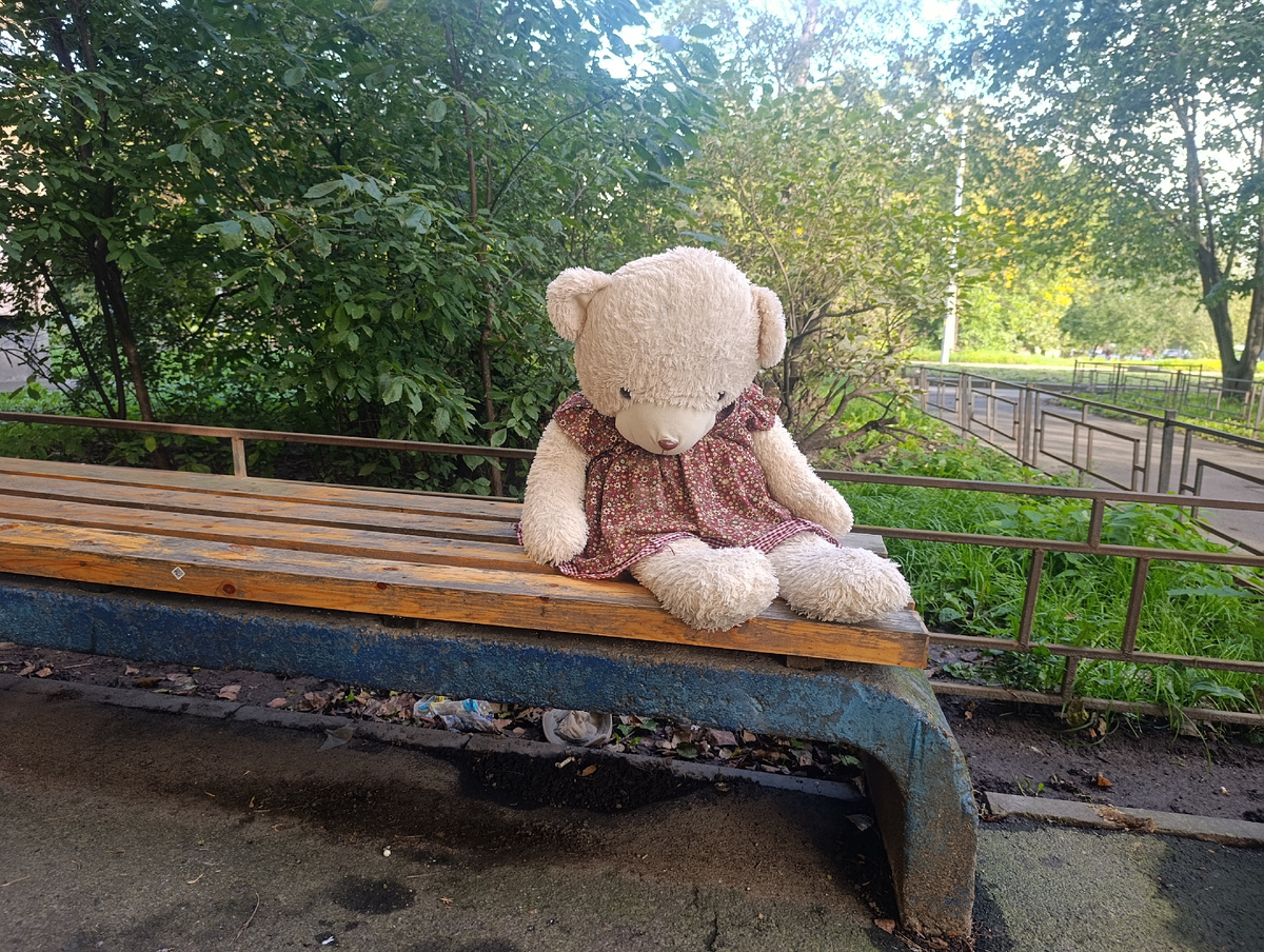 Однажды утром на скамейке мне встретился. Это медвежонок