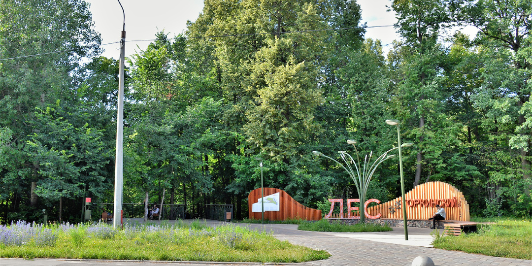 Парки Казани: где природа встречается с историей и современностью