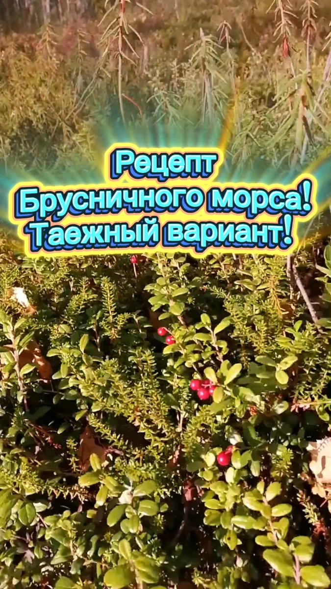 Очень простой рецепт