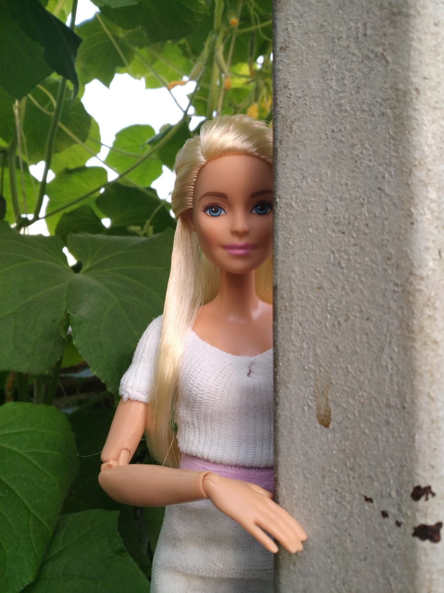 Каратистка Милли с закрытым ртом и одна из первых фотосессий в естественной среде