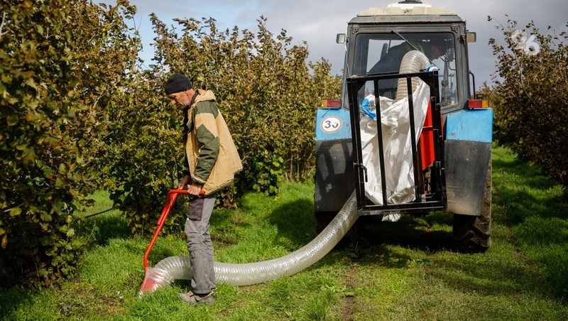      Фото: Дмитрий Ахмадуллин / / ИА «Победа26»