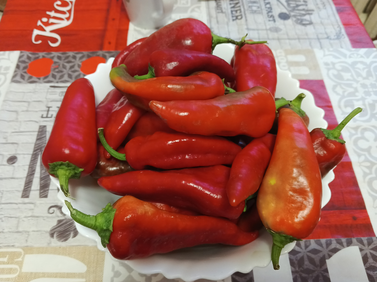 В этой статье мы поделимся нашим опытом защиты сада от болезней и вредителей в течение всего года-от ранней весны и до поздней осени... 