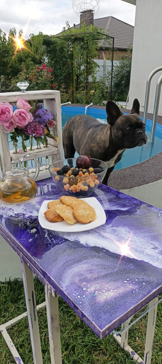 Хонда очень гостеприимная собака. Виден столик во всех косяках. Столешку мы не открутили, не зашкурили и резальтат конечно не радует. Теперь придется  шкурить  и красить ножки, а столешку зимой перезалью другую.