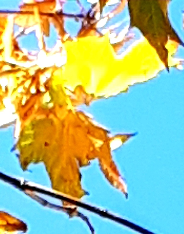 Фото автора 01.10.2025г.