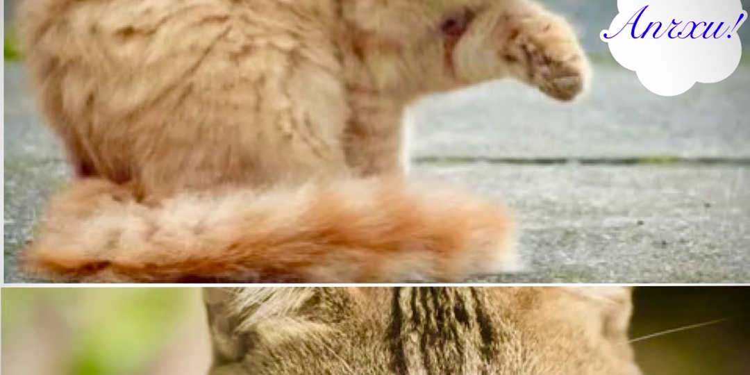 Язык тела. Почему вредно подавлять зевоту и чихание