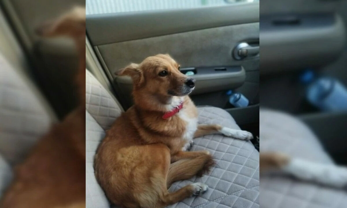    Фото из личного архива семьи