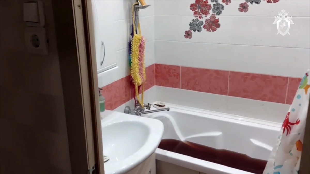    Фото: Скриншот видео / Следком / Telegram