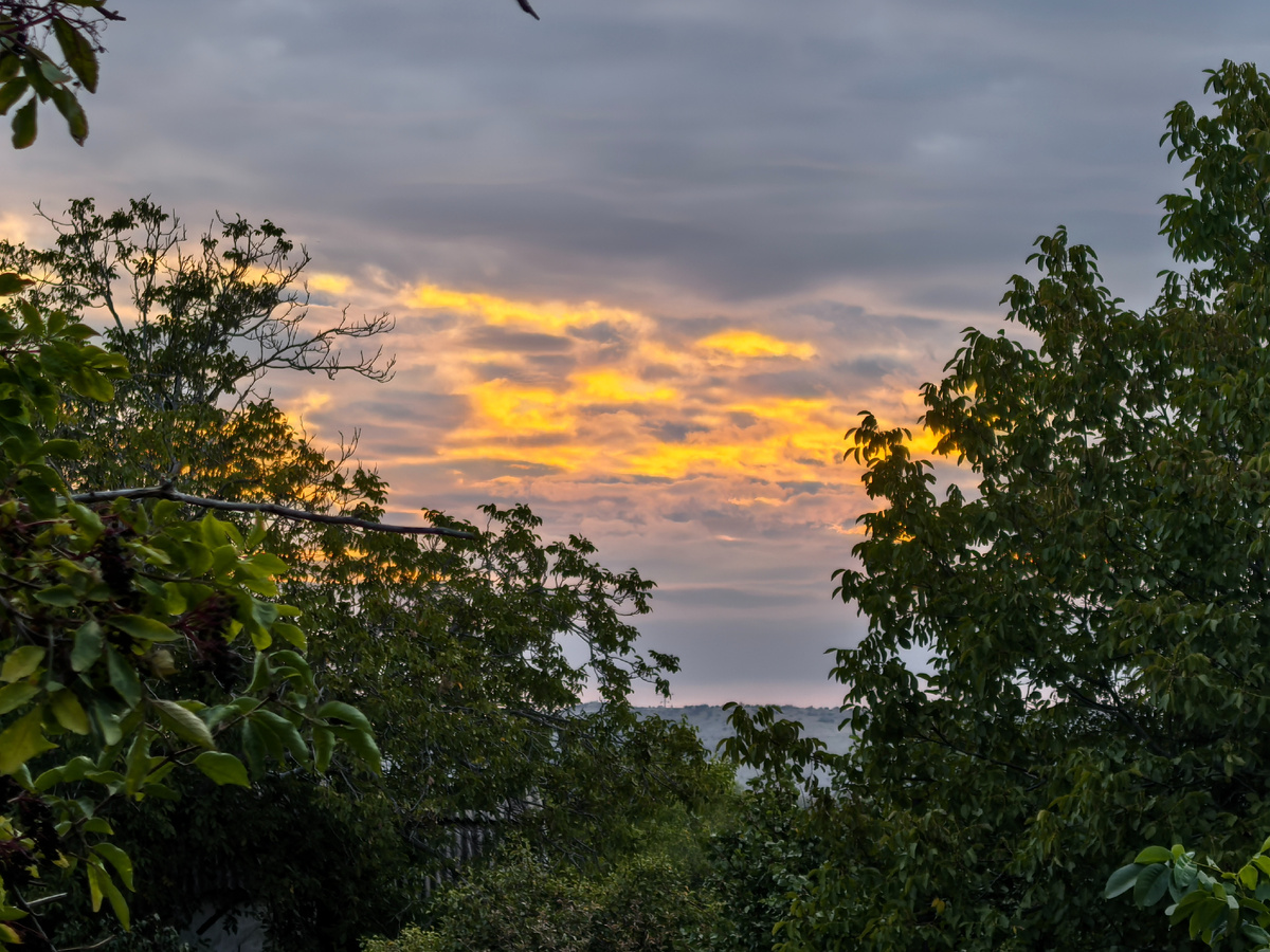 Солнца так и не было