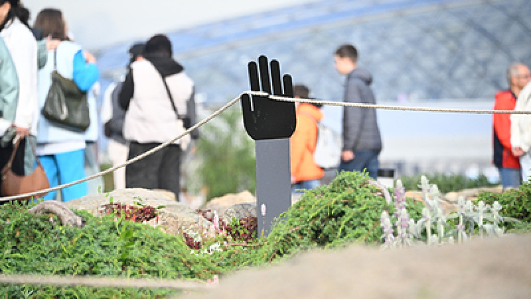    Komsomolskaya Pravda/Globallookpress