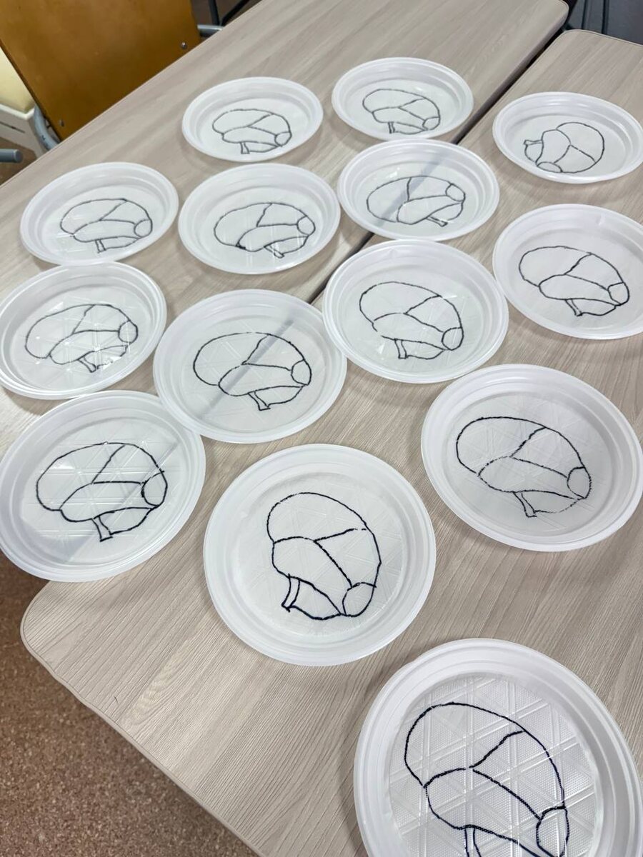 Фото подготовки к занятию