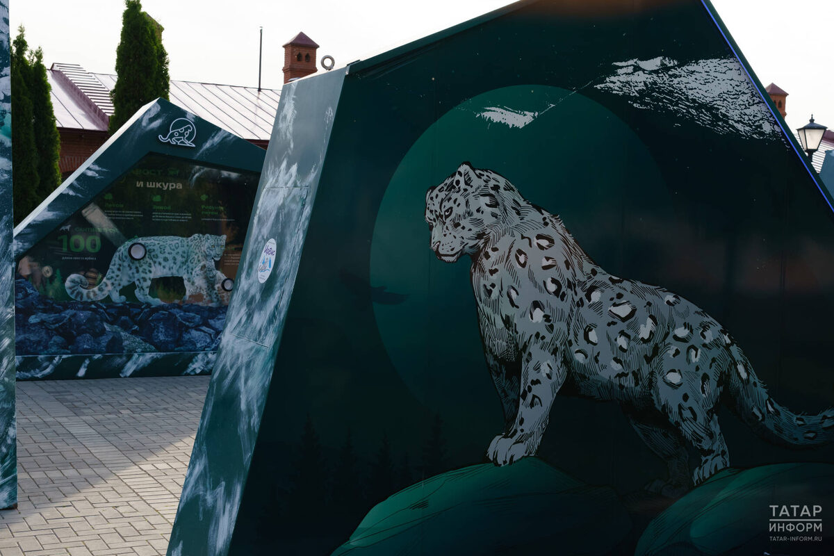 Фото: © Салават Камалетдинов / «Татар-информ»