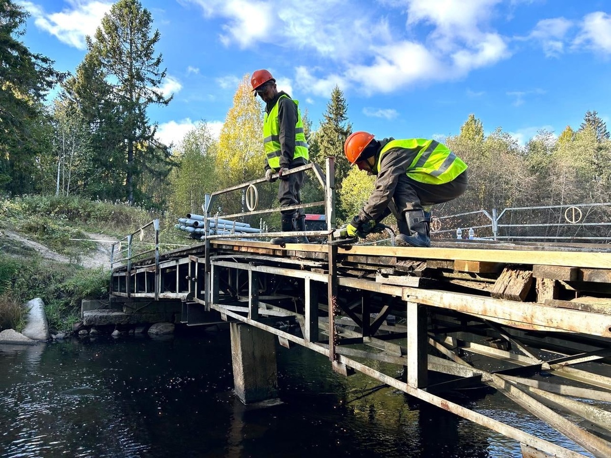    Фото: Администрация Петрозаводска