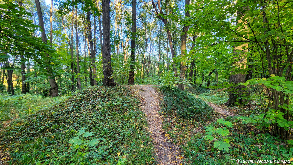Курганы вятичей в Царицыно