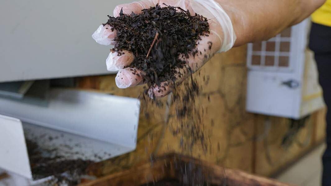 Фото: ТАСС/Дмитрий Феоктистов