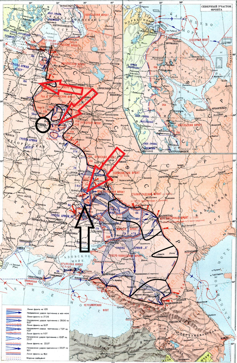 (Фото взято из открытых источников).