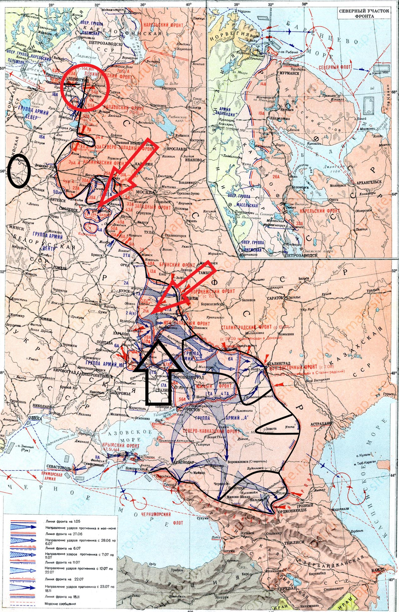 (Фото взято из открытых источников).