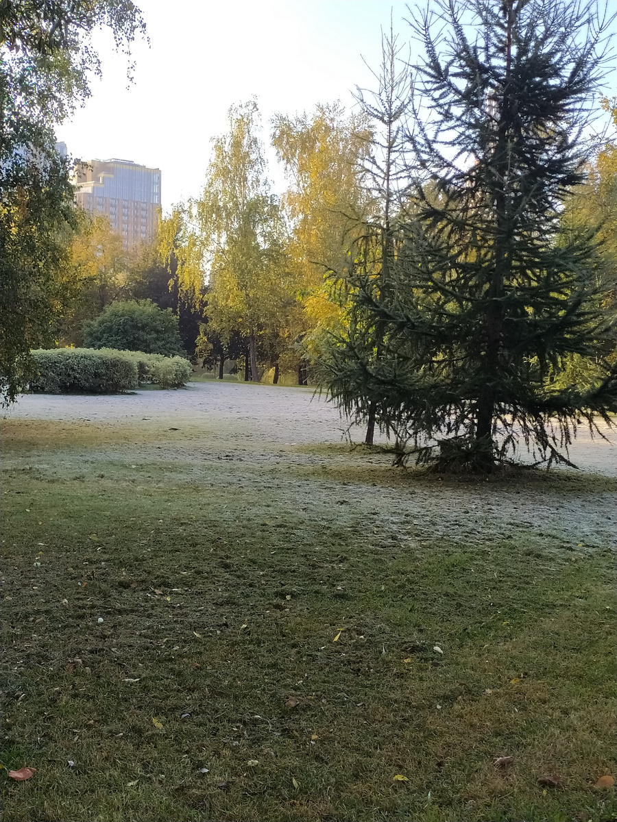 Фото автора 