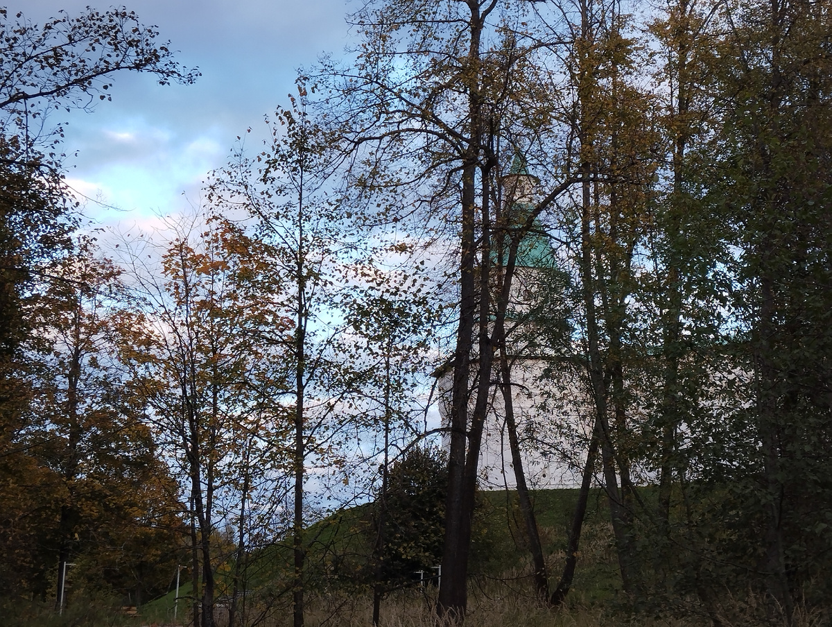 В окрестностях Воскресенского Новоиерусалимского монастыря. ЗДЕСЬ и далее фото автора и(или) из личного архива автора, если не указано иначе. Фото сделаны 28.09.2025 г.