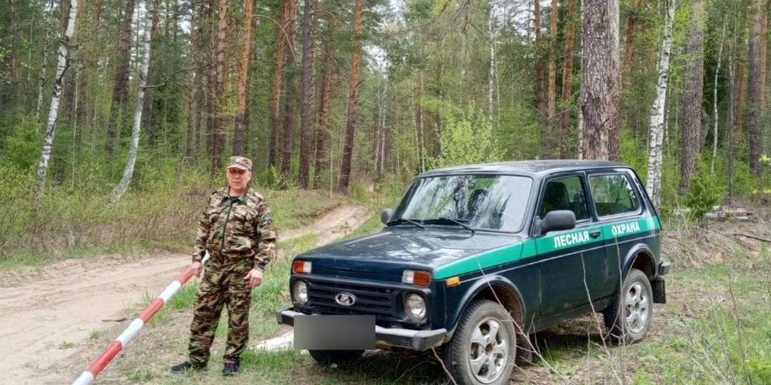 «Это же не охота!»: Железный аргумент охотника, который разбили в суде одним предложением из закона
