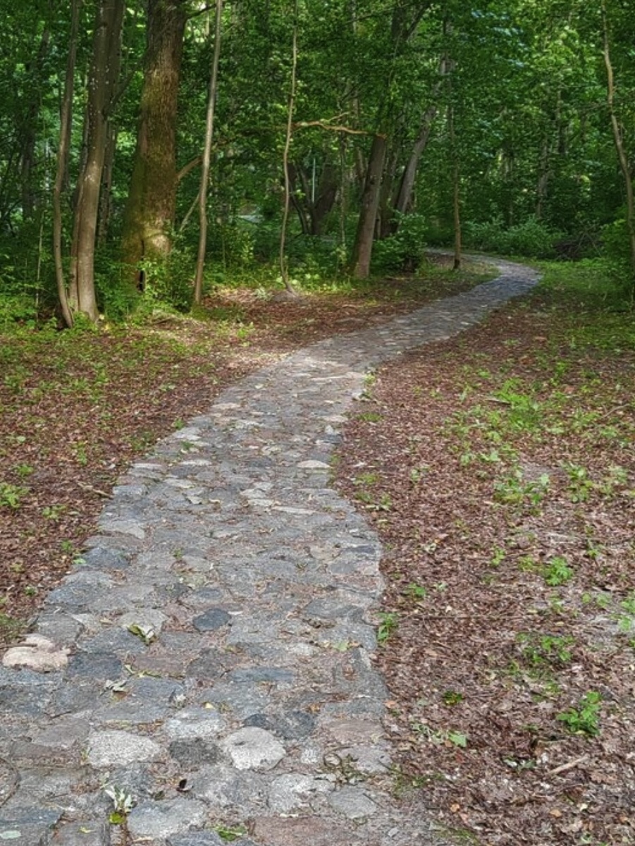 В Калининграде: «где припарковаться?» В Ласкино: «где спрятать лису, которая опять пришла к пруду?»