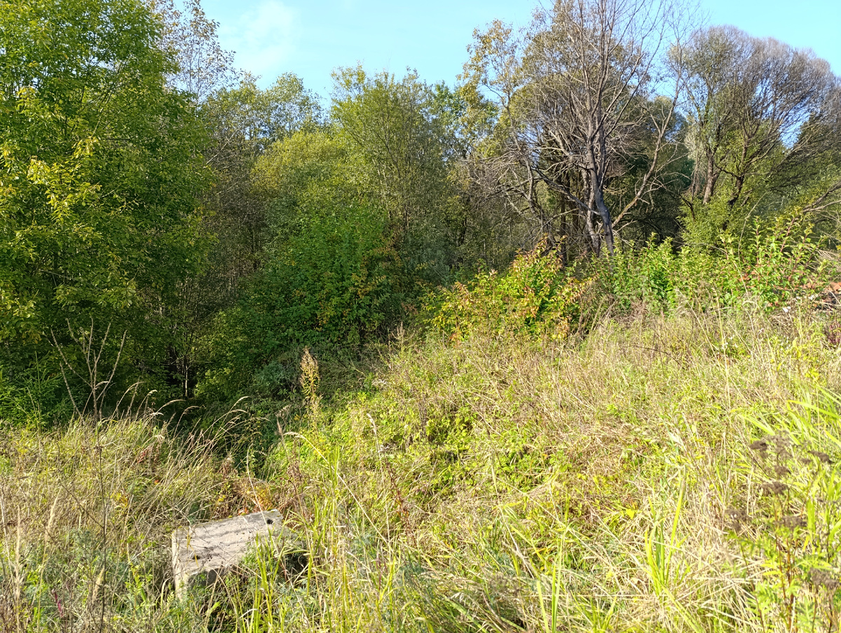 Начало Веребьинского обхода у платформы «204км»