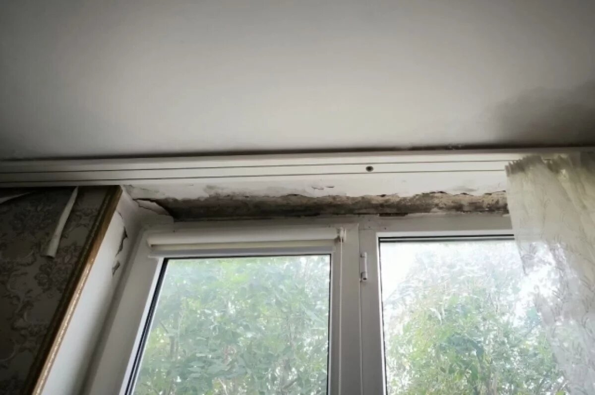    Жители Дербента пожаловались на протечки и плесень в домах