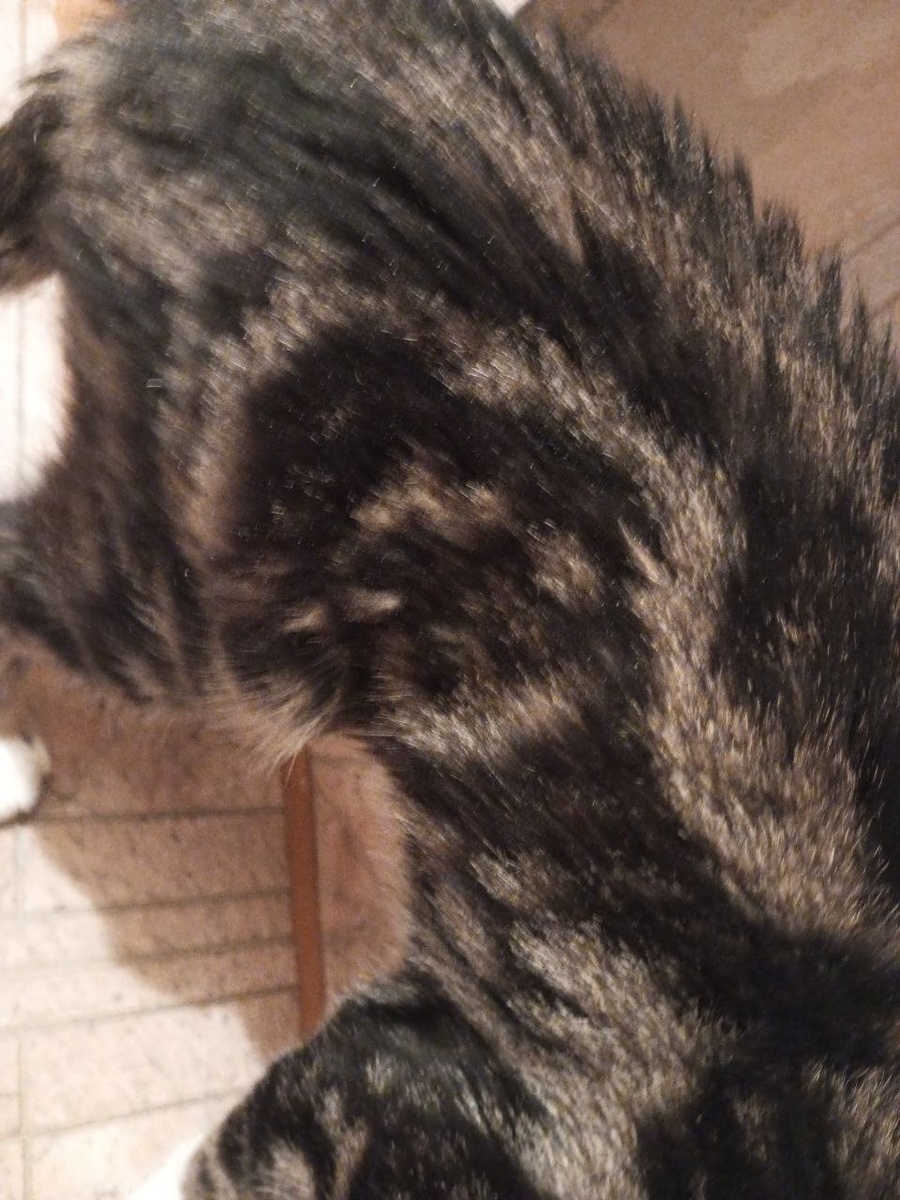 Загогулины в папу!