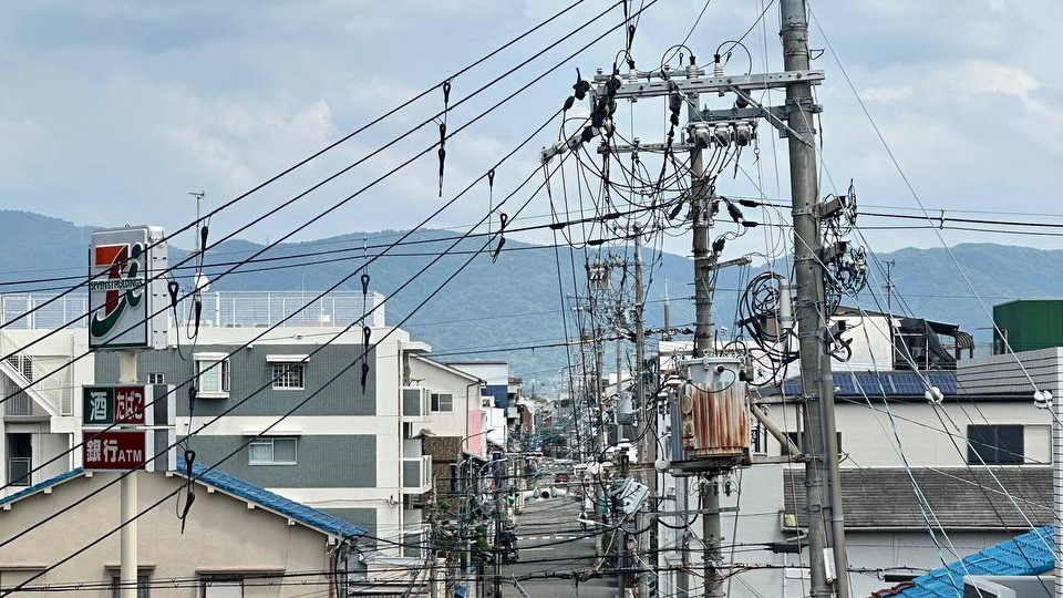 Жизнь в японской семье: как я прочувствовала Японию изнутри