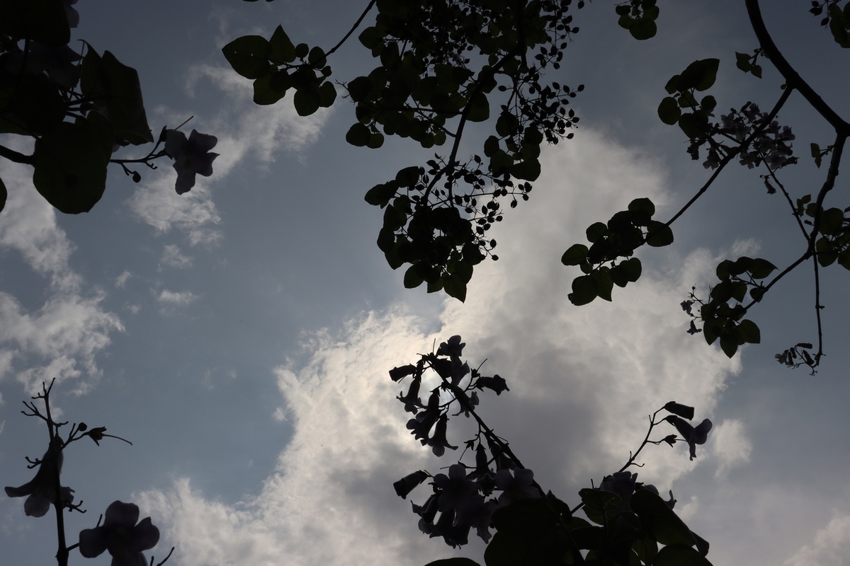 Ориби Каммпирр - Звёздные мгновенья © Copyright: Ориби Каммпирр