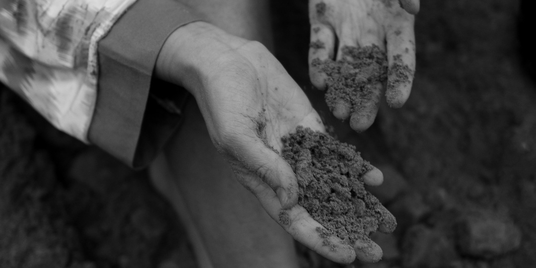 История еще одной, уже не маленькой девочки