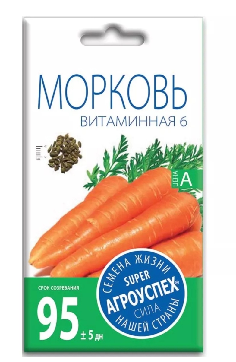 Морковь под зиму