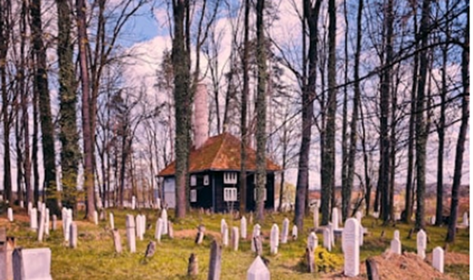 Фото с сайта https://loon.site/