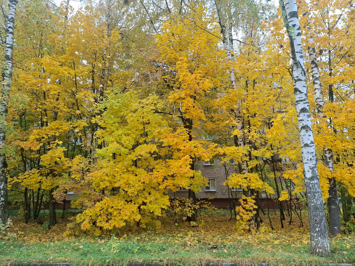 Одно из любимых осенних мест