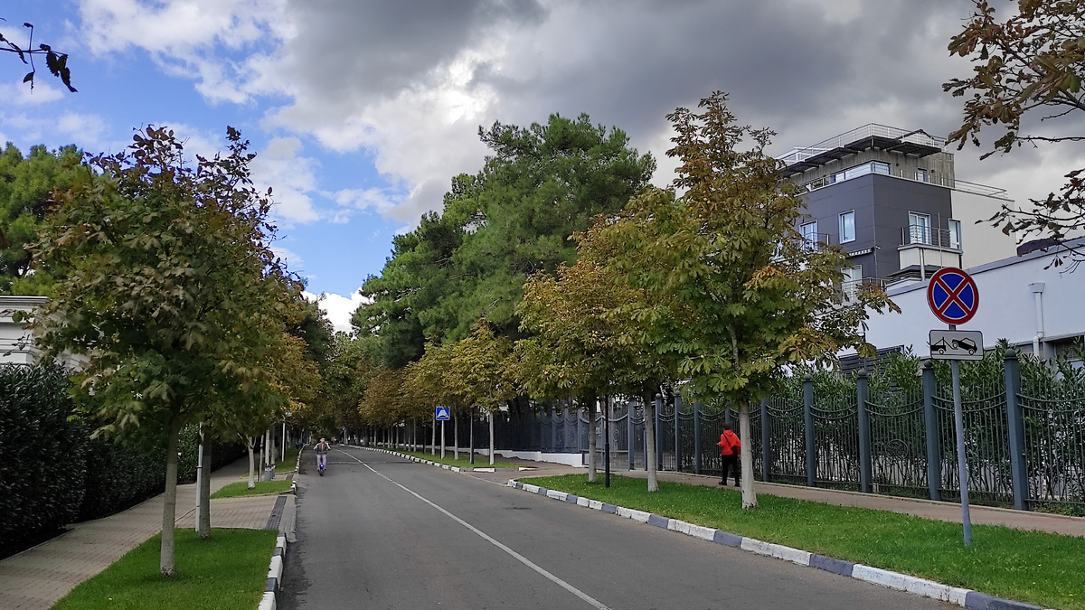 Здесь каштаны пока еще молоденькие. Когда подрастут, накроют весь тротуар. Фото: Кирилл Полиенко/Polienko: путешествуем вдвоём